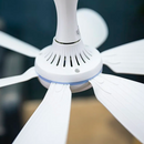 Ventilador Turbo Force [ULTRA POTENTE] - Big Stocks