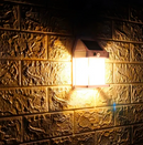 Refletor Solar EcoLight [ULTRA POTENTE] - Big Stocks