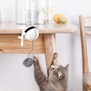 Brinquedo Interativo Para Gatos - Big Stocks