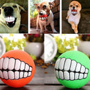 Bola Dentes De Cão - Big Stocks