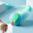 Bola Inteligente para Pet - Smart Ball™ - Big Stocks