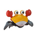 Caranguejo Fujão™ - Brinquedo Interativo Rastejante - TECA - Big Stocks