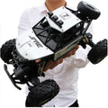 Carrinho de Controle Remoto 4X4 Monster Truck  28cm - Big Stocks
